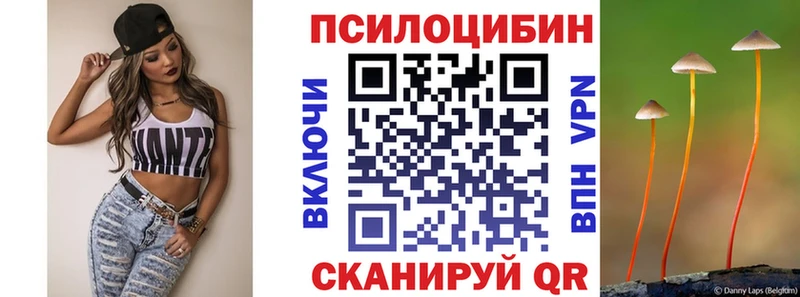 Галлюциногенные грибы Psilocybine cubensis  shop формула  Зверево  как найти закладки 